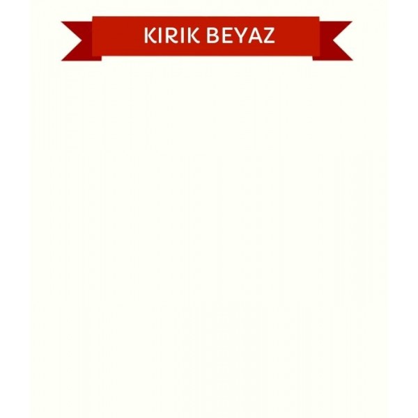 BİANCA STELLA DÖNÜŞÜM BOYASI 1 LT (KIRIK BEYAZ)